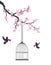 Cherry Blossom With Doves