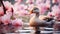 Cherry Blossom Duck: Captivating 8k Photography With Japanese Minimalism