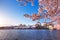 Cherry Blossom Festival, Inlet Bridge Gates between the Tidal Basin and the Potomac River in Washington DC, USA