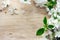 Cherry blossom flower branch on wooden background with space for