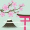 Cherry blossom, Fuji, Gate - Japanese spring