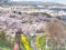 Cherry blossom in Funaoka Joshi Park in Miyagi prefecture, Japan