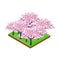 Cherry blossom isometric forest