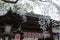 Cherry Blossom in Kyoto Shrine