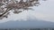 Cherry blossom with Mount fuji at Lake kawaguchiko.