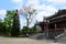 Cherry blossom and royal building, The Citadel, Hue Vietnam 