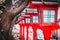 Cherry blossom sakura trees in spring with blooming flowers  and red lantern lamp during day closeup