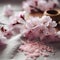 Cherry Blossom spa