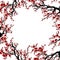 Cherry blossom spring floral template with hand drawnes branch with pink cherry flowers blooming. Sakura blossoming banner