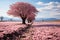 Cherry blossom. Springtime Concept. Sakura. Valentine\\\'s Day.