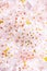 Cherry blossom tree detail, pink bloom background