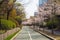 Cherry blossom trees along the road in Yeouido park