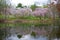 Cherry Blossom Trees of Holmdel Park -12