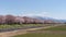 Cherry blossom trees or sakura  along the bank of Funakawa River in the town of Asahi , Toyama Prefecture  Japan.