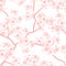 Cherry blossom vector background. (Seamless