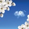 Cherry blossoms against the sky with clouds and sw