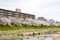 Cherry blossoms on the Bank along Takano River, Kyoto, Japan