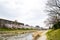 Cherry blossoms on the Bank along Takano River, Kyoto, Japan