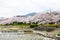 Cherry blossoms on the Bank along Takano River, and mount Hieizan, Kyoto, Japan