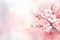 Cherry Blossoms Branch Japanese Pink Sakura Watercolor Painting