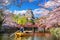 Cherry blossoms and castle in Himeji, Japan