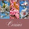 Cherry blossoms collage