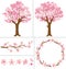 Cherry Blossoms for Design Elements