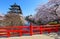 Cherry blossoms and Hirosaki Castle