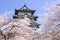 Cherry blossoms and Japanese castle tower