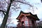 Cherry blossoms,Kiyomizudera,Japan.