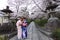 Cherry blossoms,Kiyomizudera,Japan.