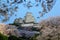 Cherry blossoms and the main tower of the UNESCO world heritage site