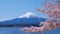 Cherry-blossoms and Mount Fuji which are viewed from Lake Kawaguchiko in Yamanashi, Japan