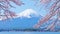 Cherry-blossoms and Mount Fuji which are viewed from Lake Kawaguchiko in Yamanashi, Japan