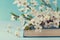 Cherry blossoms and old book on turquoise background, beautiful spring flower, vintage card