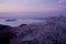 Cherry blossoms and Seto Inland Sea in the evening