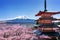 Cherry blossoms in spring, Chureito pagoda and Fuji mountain in Japan