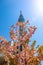 Cherry blossoms with Tokyo Skytree