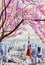 Cherry blossoms and Tokyo Tower landmark of Japan.