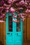 Cherry Blossoms on a Tree With a Red Sandstone House with Turquoise Door in the Background