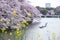 Cherry blossoms,yellow nanohana and paddle boats at Chidorigafuchi moat,Chiyoda,Tokyo,Japan.selective focus