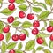 Cherry branch vector pattern