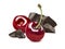 Cherry broken dark chocolate composition isolated