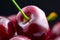 Cherry closeup. Organic ripe cherries isolated on black