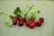 Cherry cluster with leaves close-up