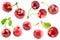 Cherry collection isolated on white background with clipping pat