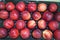 Cherry-colored nectarine fruits laid out in a row. Fruits nuts vegetables berries useful products