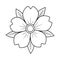 Cherry flower with leaves old school classic traditional tattoo. Hand Drawn Black Outline Doodle Logo Icon. Coloring book page.