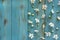 Cherry flowers on a blue wooden background. Spring pattern on aged background. View from above. Background for banner