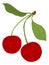 Cherry fruit